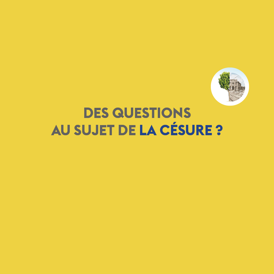 Césure : candidatez pour un départ en janvier 2023